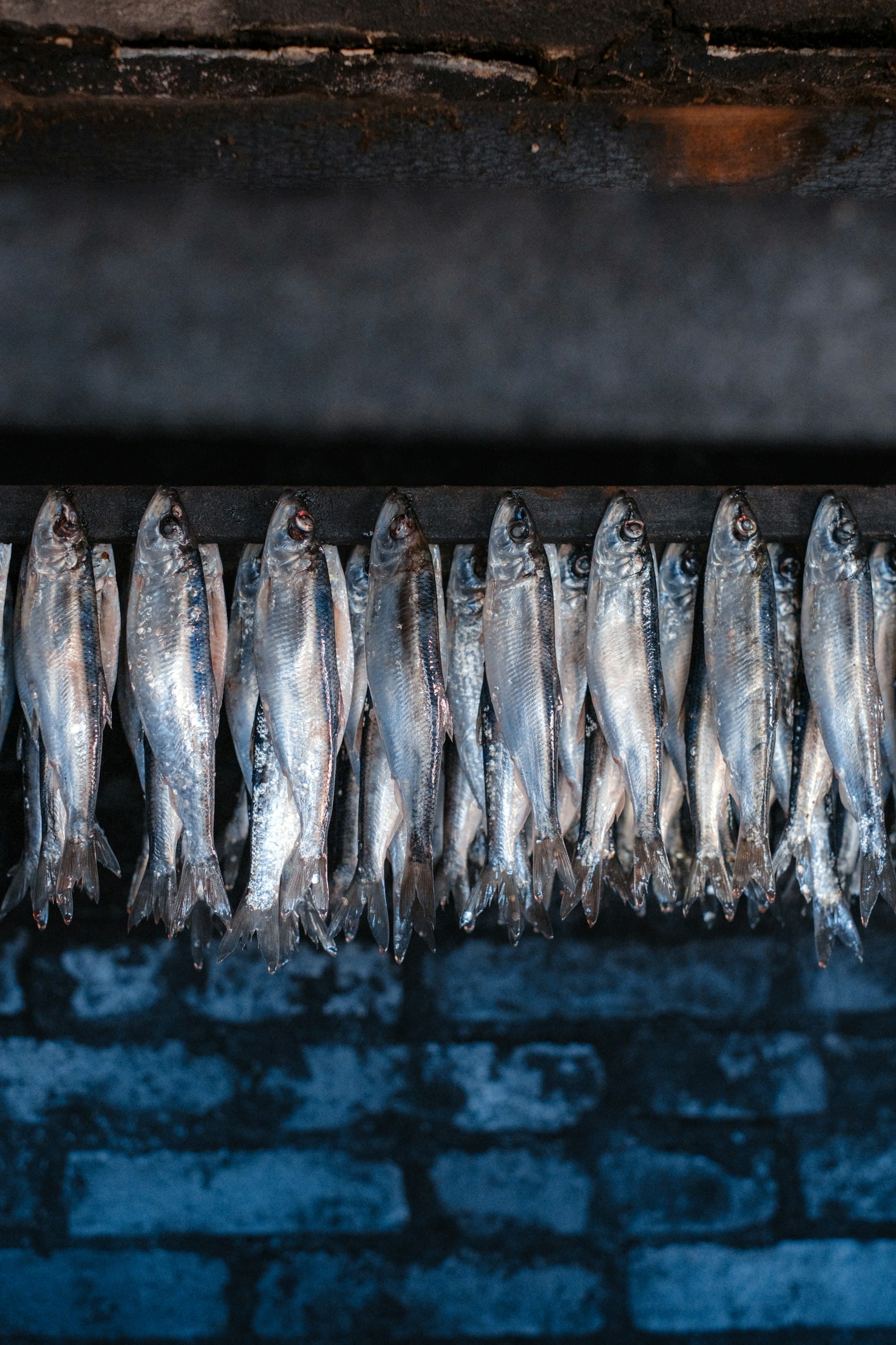Fish on the smoking rack