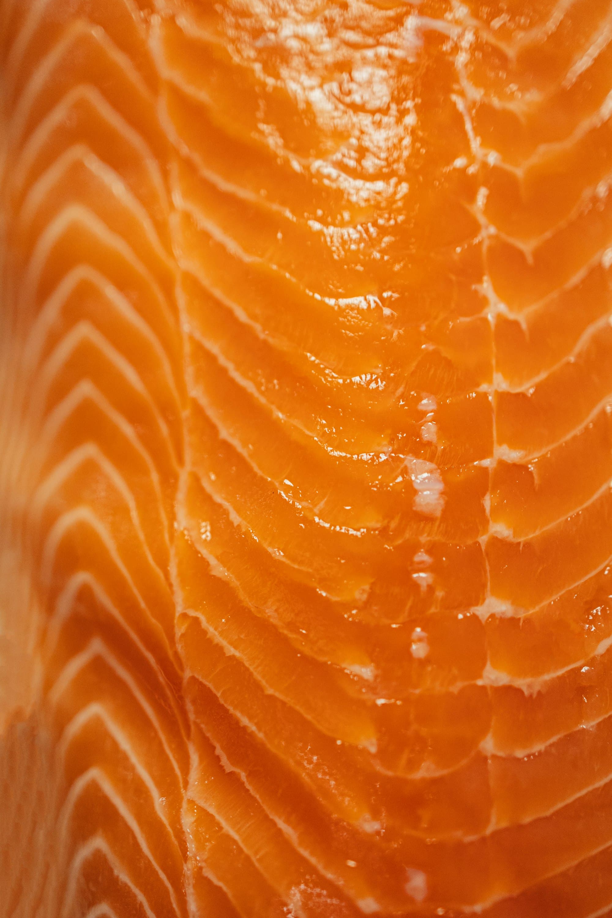 Whole Salmon