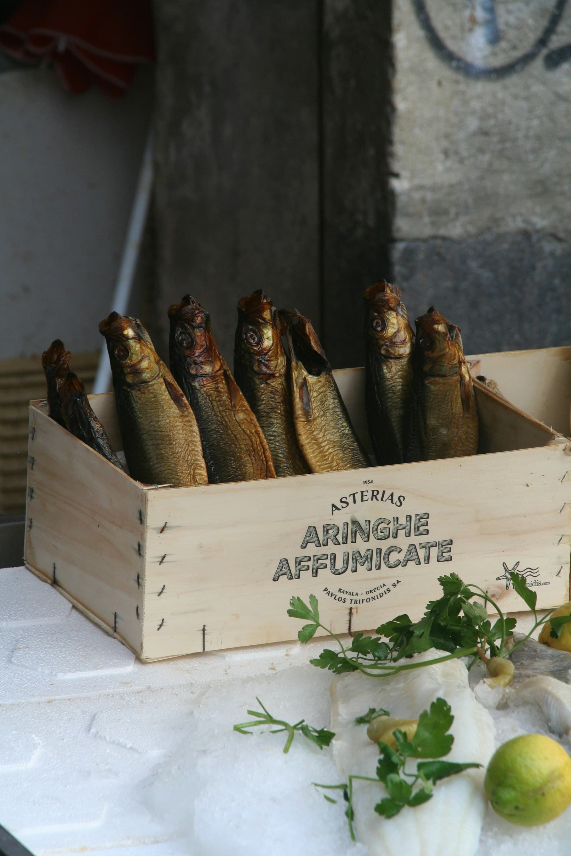 Baltic Herring
